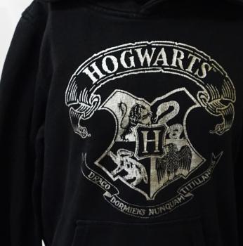 Sweatshirt kurz, Gr. 134 von Harry Potter by H&M (3247)